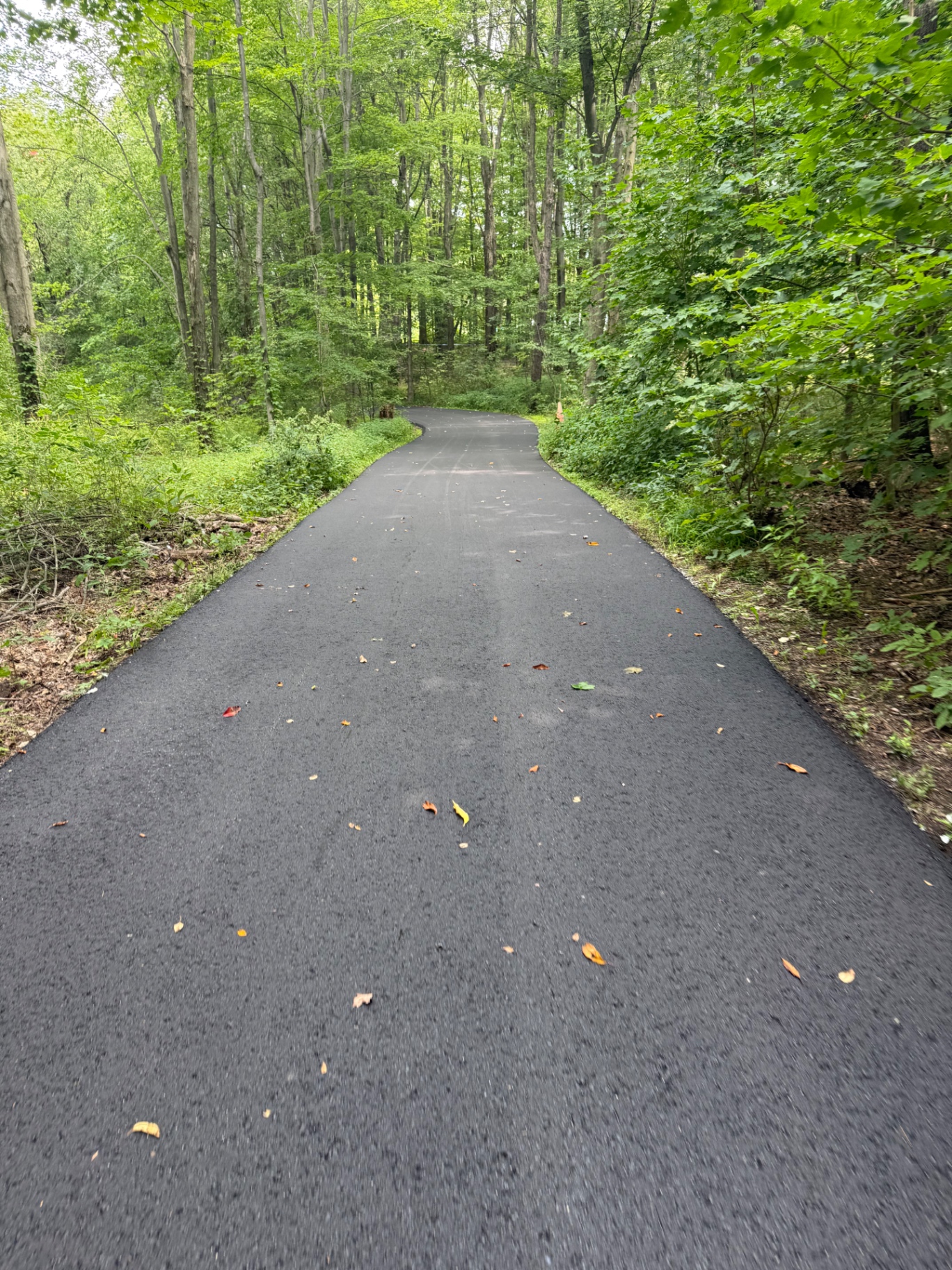 Long resurfaced asphalt driveway lined with trees in Middlefield, Ohio