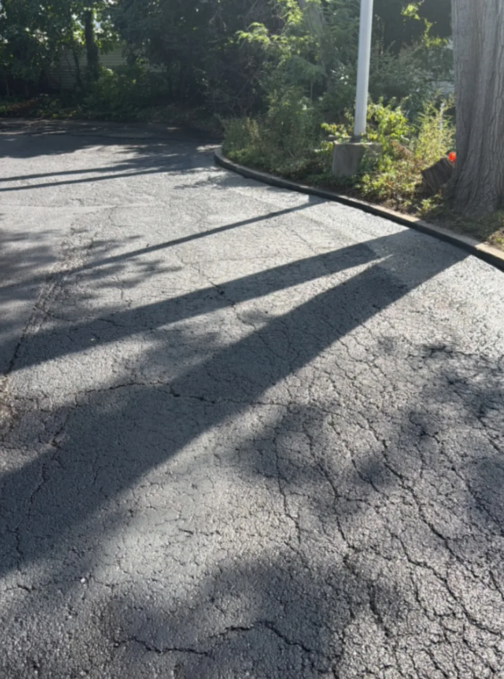 After: rear yard at a Mr. Tire shop in Lakewood, OH, cleaned and sealcoated asphalt by Rendon Paving