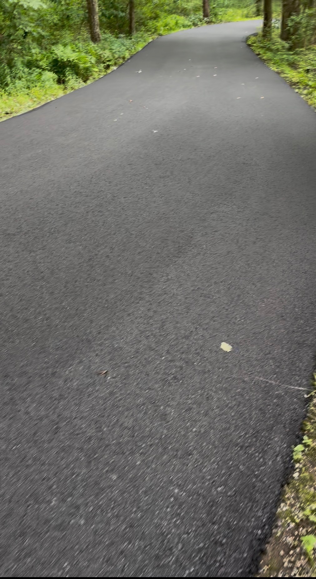 Freshly resurfaced asphalt driveway winding through woods in Middlefield